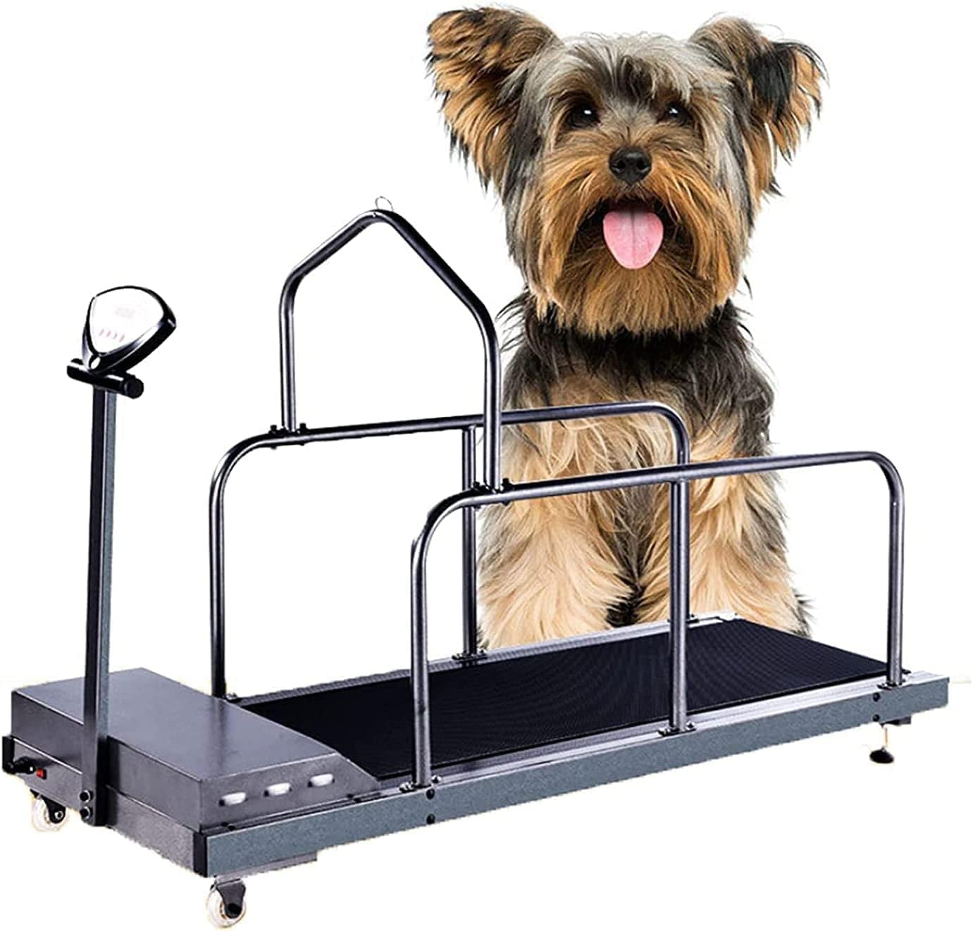 HXLXWUSC Dog Slatmill Treadmill for Medium Dogs with LCD Display & Remote Control