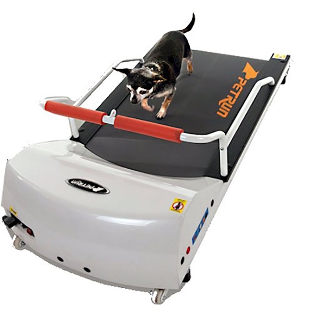 GoPet Petrun PR700 Dog Treadmill Indoor Fitness Machine for Dogs up to 44lbs
