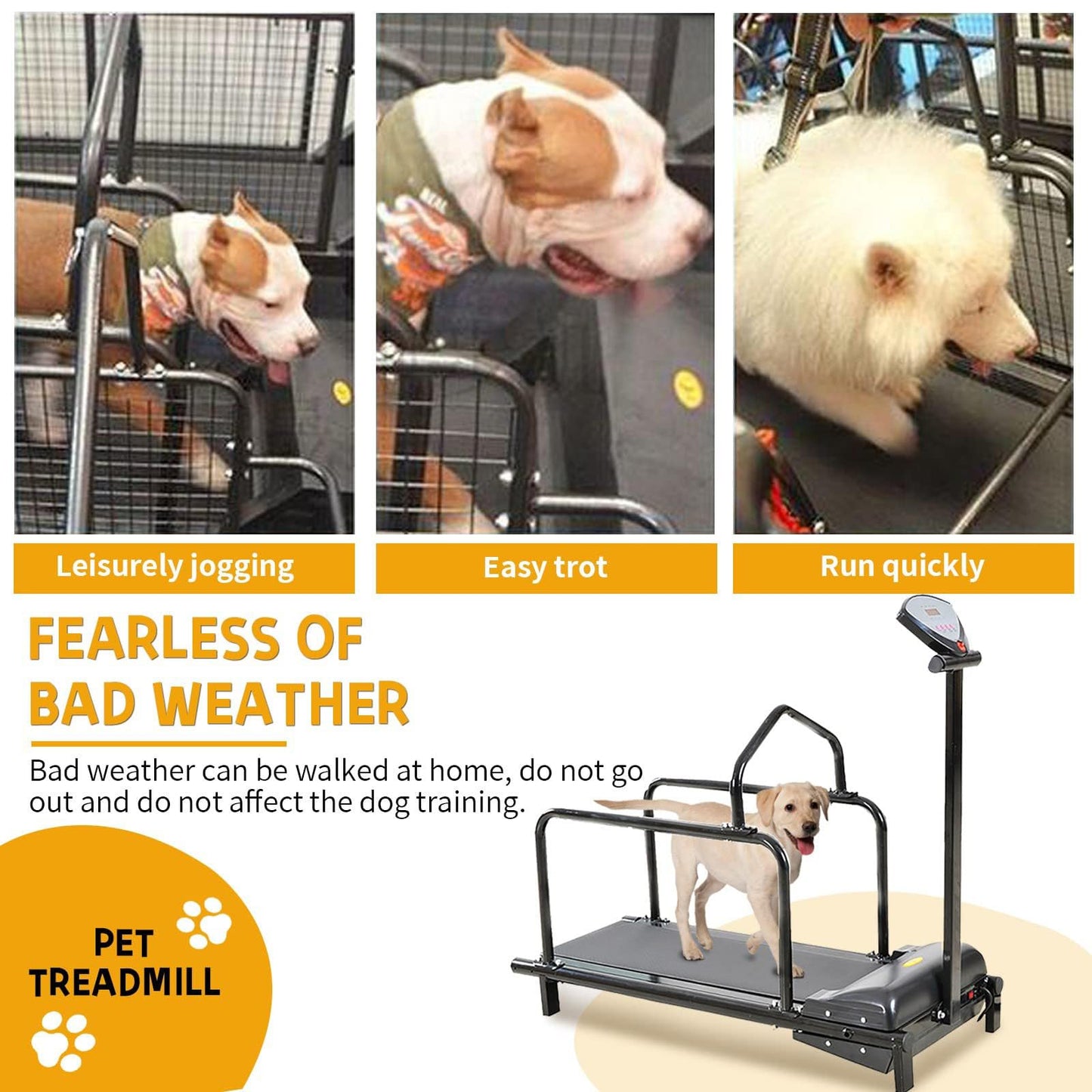 Large & Medium Dog Treadmill with LCD Display for Indoor Fitness up to 176LBS