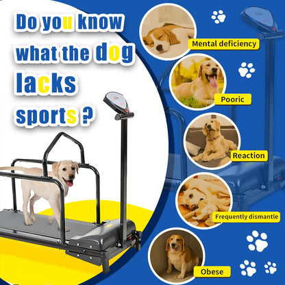 Dog Treadmill for Large & Small Dogs with Adjustable Speed, Quiet Motor & Safety Fence