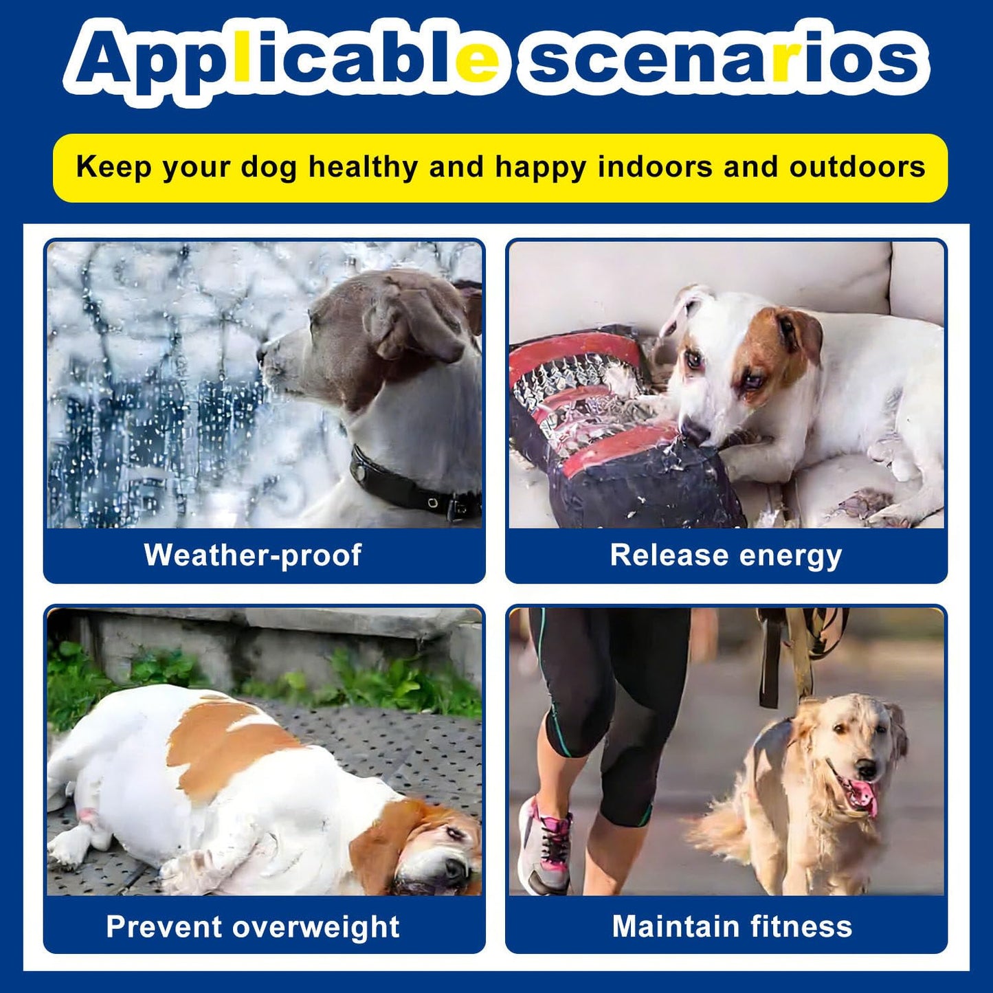 Dog Treadmill for Large & Small Dogs with Adjustable Speed, Quiet Motor & Safety Fence