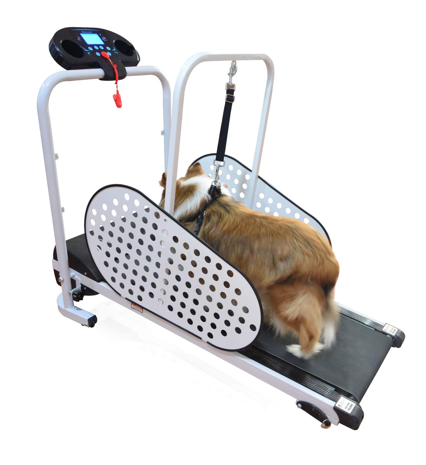 Shelandy Smart Motorized Dog Treadmill for Small & Medium Dogs Indoor Exercise