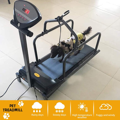 Large & Medium Dog Treadmill with LCD Display for Indoor Fitness up to 176LBS