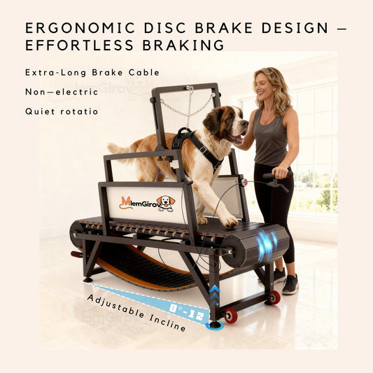 Dog Slatmill Treadmill with Adjustable Resistance & 500LBS Capacity for All Dog Sizes