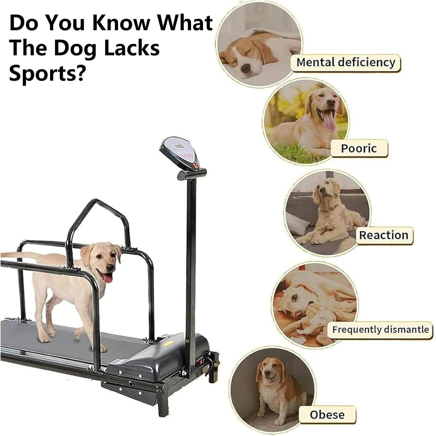 ZSFHJZC Dog Treadmill for Large & Small Dogs with LCD Display & Remote Control