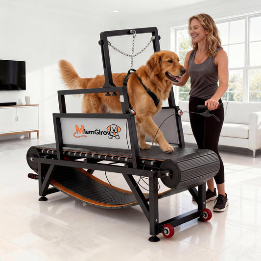Dog Slatmill Treadmill with Adjustable Resistance & 500LBS Capacity for All Dog Sizes