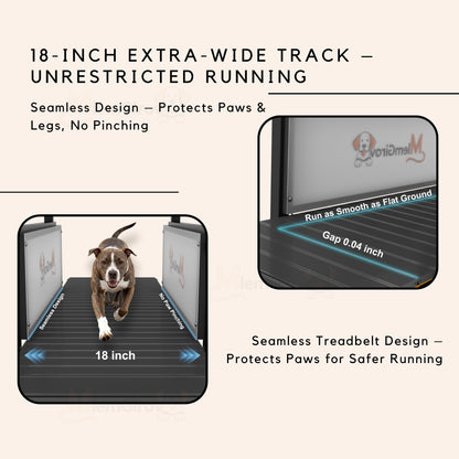 Dog Slatmill Treadmill with Adjustable Resistance & 500LBS Capacity for All Dog Sizes