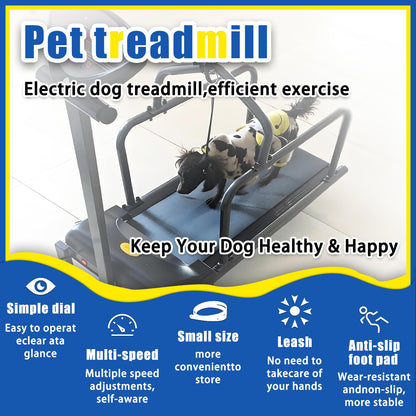 Dog Treadmill for Large & Small Dogs with Adjustable Speed, Quiet Motor & Safety Fence
