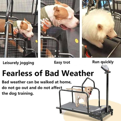 ZSFHJZC Dog Treadmill for Large & Small Dogs with LCD Display & Remote Control