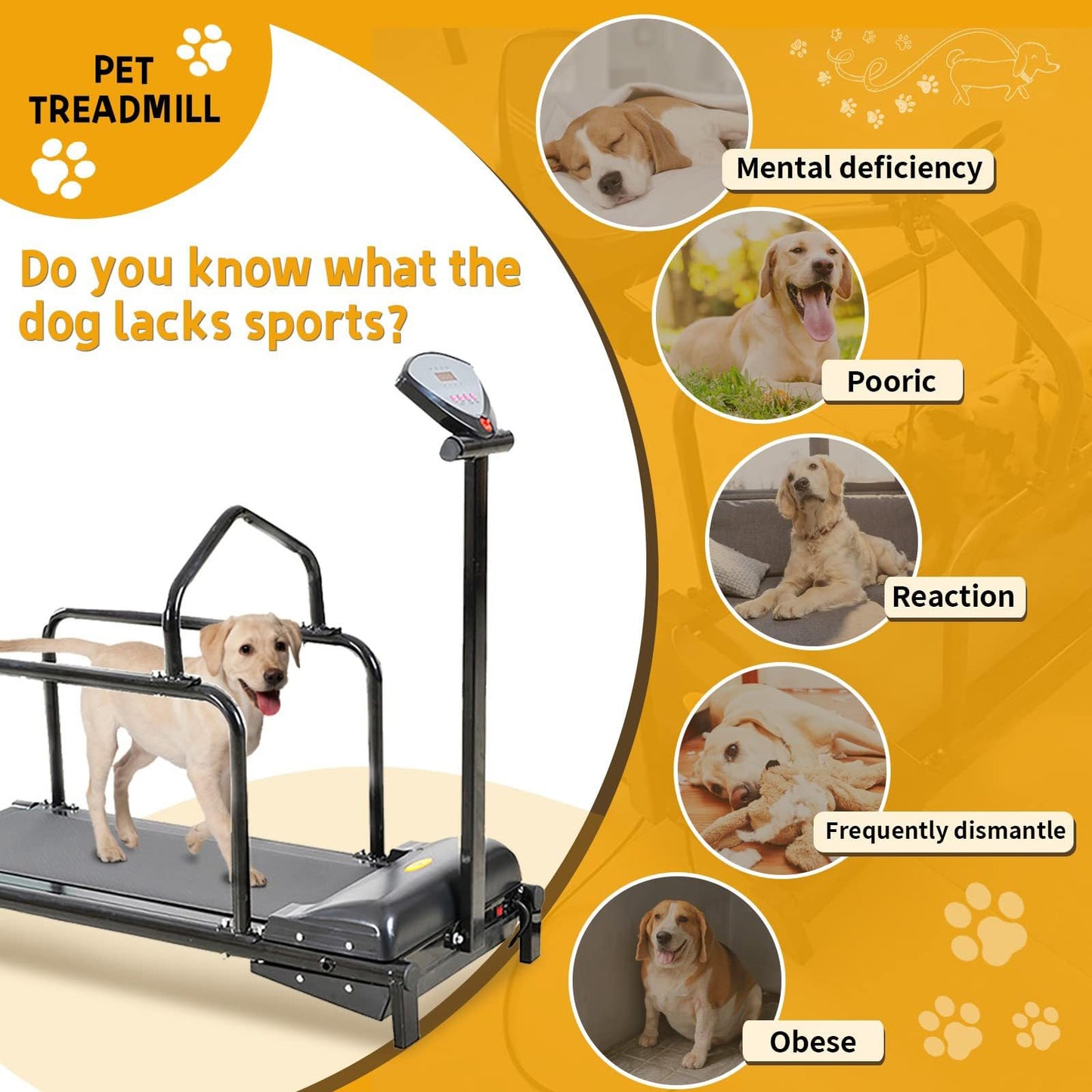 Large & Medium Dog Treadmill with LCD Display for Indoor Fitness up to 176LBS