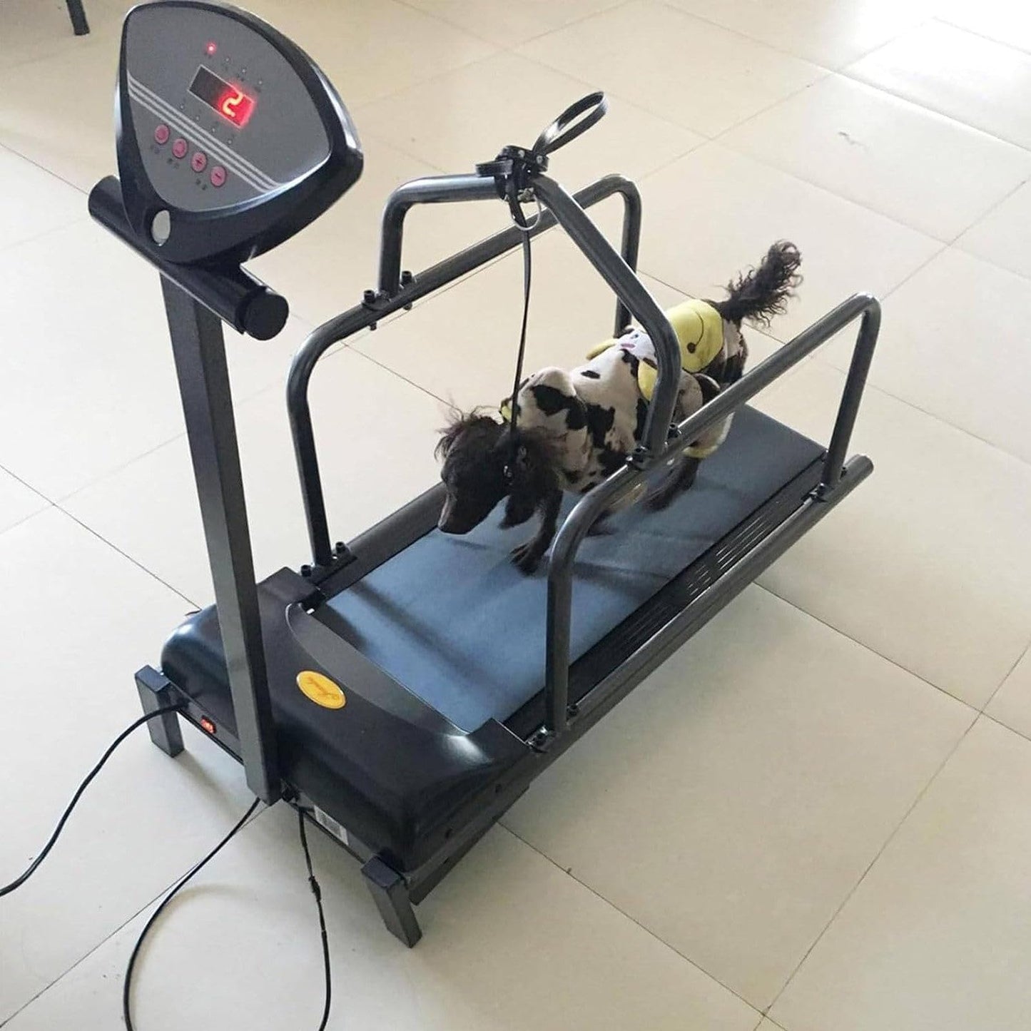 ZSFHJZC Dog Treadmill for Large & Small Dogs with LCD Display & Remote Control