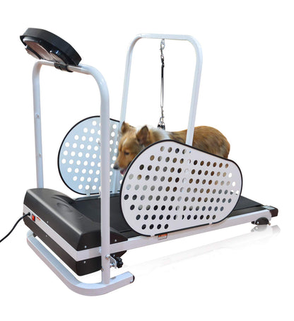 Shelandy Smart Motorized Dog Treadmill for Small & Medium Dogs Indoor Exercise