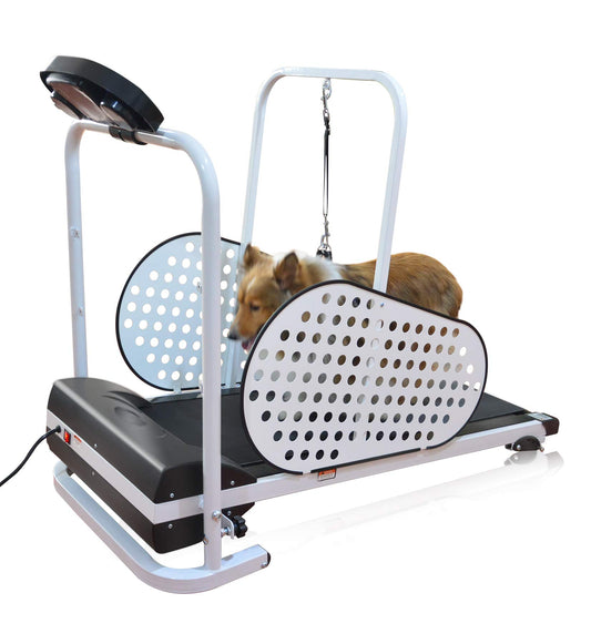 Shelandy Smart Motorized Dog Treadmill for Small & Medium Dogs Indoor Exercise