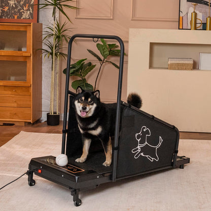Dog Treadmill for Medium & Small Dogs with Remote Control for Indoor Fitness