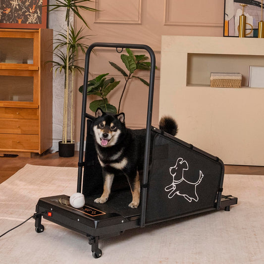 Dog Treadmill for Small & Medium Dogs with LED Display, Remote Control & Safety Screens