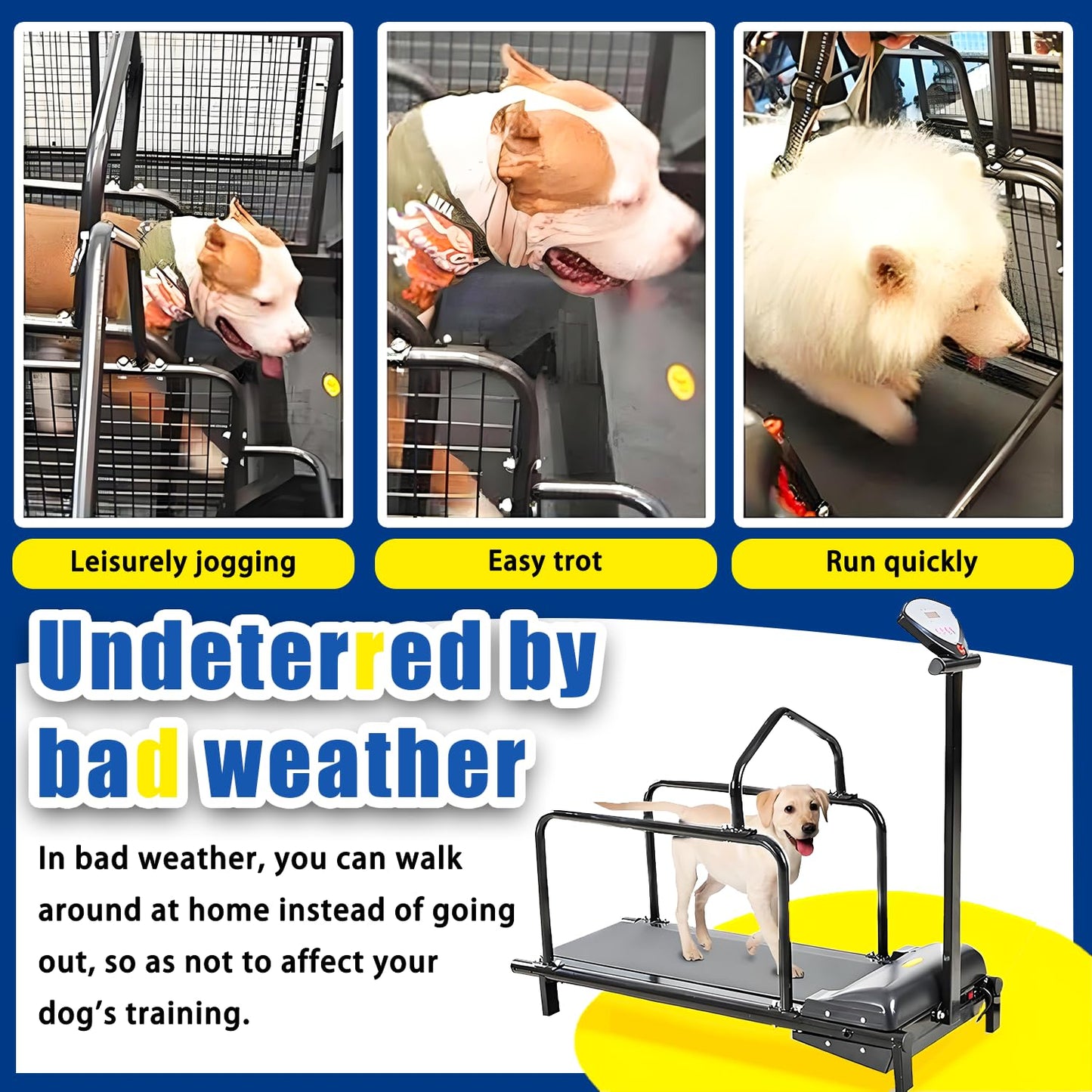 Dog Treadmill for Large & Small Dogs with Adjustable Speed, Quiet Motor & Safety Fence